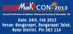 MUSK CON-2013